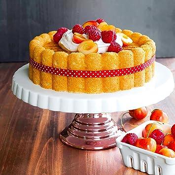 MOULE A GATEAU - charlotte fruits - Tout pour la patisserie